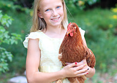 Girl holding ISA Brown chicken in backyard garden