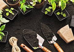 backyard gardening is a big part of living a more sustainable lifestyle