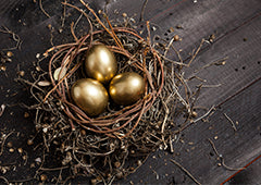 Golden eggs in twig nest