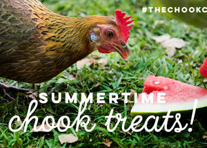 Summer treats for chickens