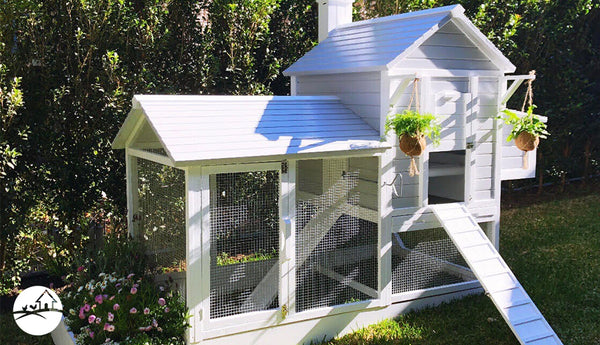 Which Chicken Coop is Best for my Backyard?
