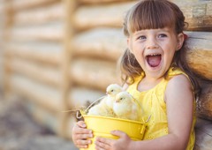 Little girl happy about baby chickens