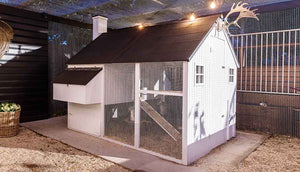 white painted mansion chicken coop with black roof