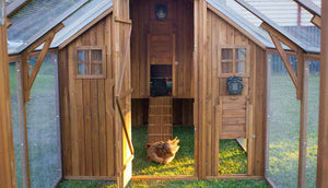 mansion chicken coop with automatic door opener attached