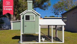 green painted chicken house with run