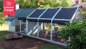 mansion chicken coop and run with shade cloth side view