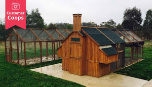 mansion chicken coop with extended run area for extra space