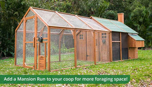mansion chicken coop and run for extra foraging space