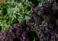 Close up image of fresh kale