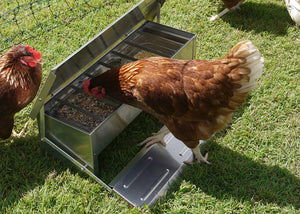 The Top 5 Chicken Feeders for your Chicken Coop or Chicken Run