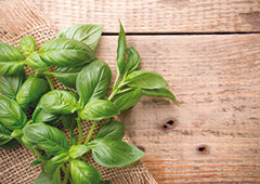 sprig of basil leaves