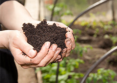 Person holding garden soil in backyard