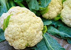 Cauliflower on timber table