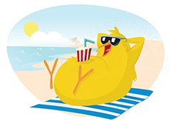 chicken at the beach