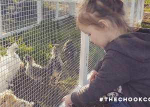 chickens make the best pets for kids
