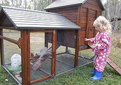 A chicken coop tractor keeps your chickens safe and happy