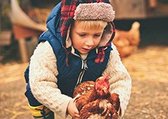 young boy holding chicken