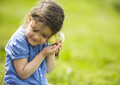 Young girl holding baby chick in backyard