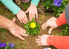 community-gardening