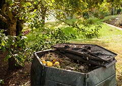 Composting is best with chickens