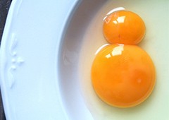 Delicious double yolk egg cracked in white bowl