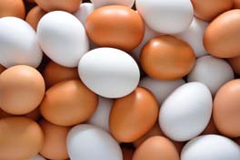 brown and white eggs