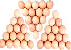 when it comes to taste and nutrition, store bought eggs dont compare to backyard chicken eggs