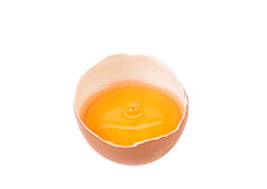 Egg yolk in shell