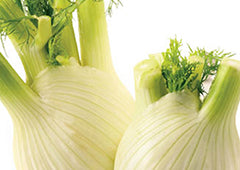 Fennel bulbs