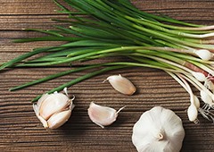 different varieties of garlic used for pest control
