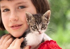 growing up with a cat or kitten is an amazing experience for a child