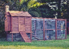 how-to-choose-the-perfect-chicken-coop