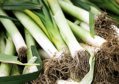 Leeks from veggie patch
