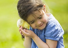 little-girl-with-baby-chick
