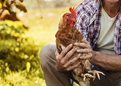 Man holding chicken close