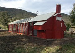 Mansion backyard chicken coop and run painted red and white