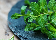 Mint leaves on slate