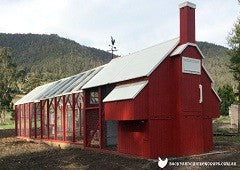 Mansion Backyard Chicken Coop painted red and white