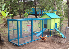 Colourful penthouse chicken coop with run