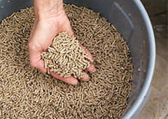 person holding commercial chicken feed