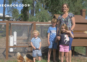 phoebe chicken coop in backyard