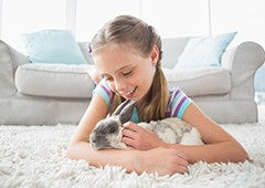 caring for rabbits is easy, and children will love playing with their fluffy bunny rabbit friend