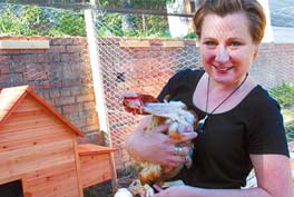 rescue-hens-are-re-homed-after-bushfires