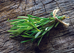 Bundle of rosemary sprigs