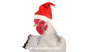 3 Holiday Gifts for Chooks and Chicken Keepers