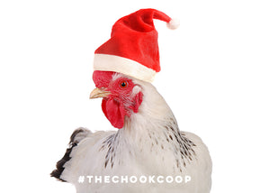 3 Holiday Gifts for Chooks and Chicken Keepers