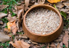 Shell grit for chickens in a bowl