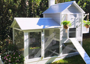 Which Chicken Coop is Best for my Backyard?