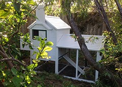 white-chicken-coop-in-bush