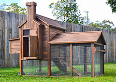 Taj Mahal backyard chicken coop